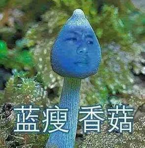 㹽С籾Ƭع⣬㹽Ϊʲôô?
