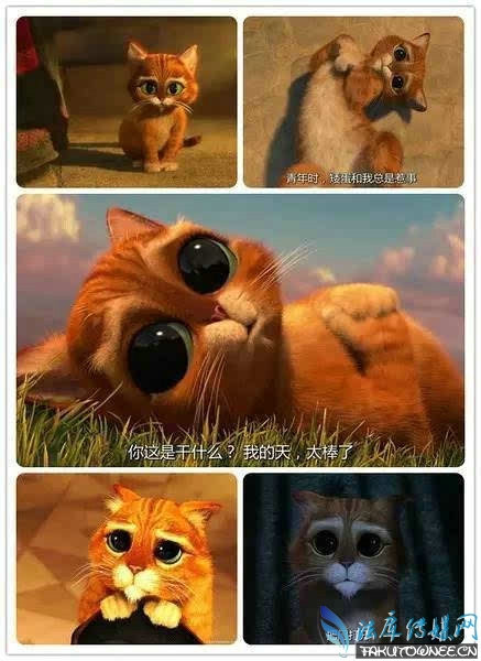 ʿӰԵǸĹ?ӰֻʺϺӿ?
