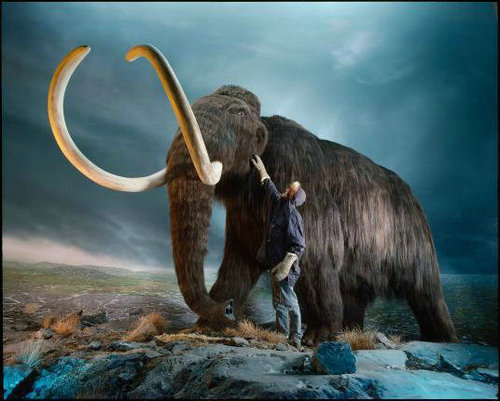 猛犸象复活计划靠谱吗？猛犸象当初是怎么灭绝的？