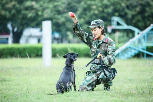 奇兵神犬中的杨朵兰是干什么的?杨朵兰