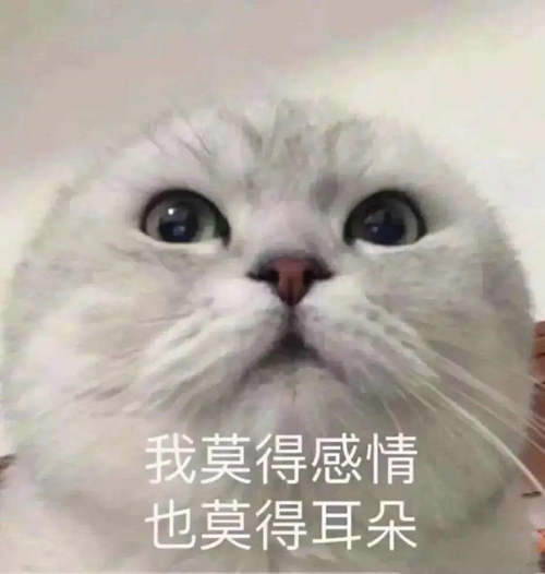 世界抬杠冠军大蓝参加的什么相亲节目