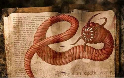 恶魔蠕虫是什么生物 恶魔蠕虫真的存在吗