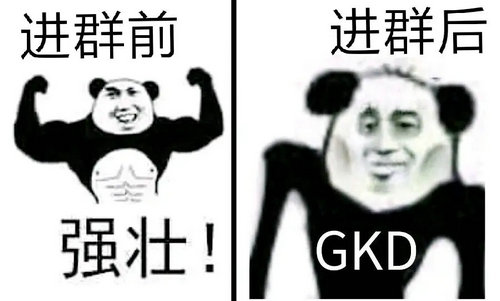 GKD指的是什么意思 GKD的含义