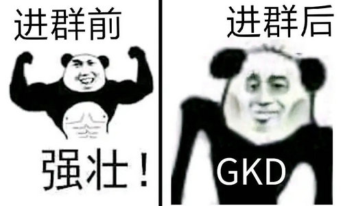 GKDָʲô˼ GKDĺ