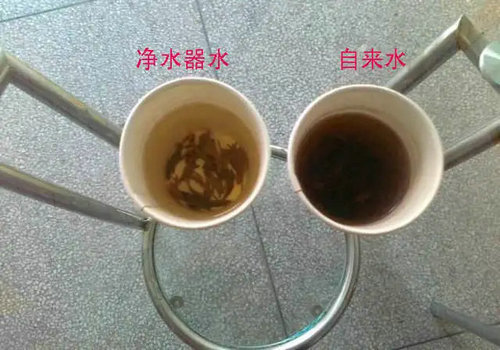 自来水泡茶为什么茶水发黑