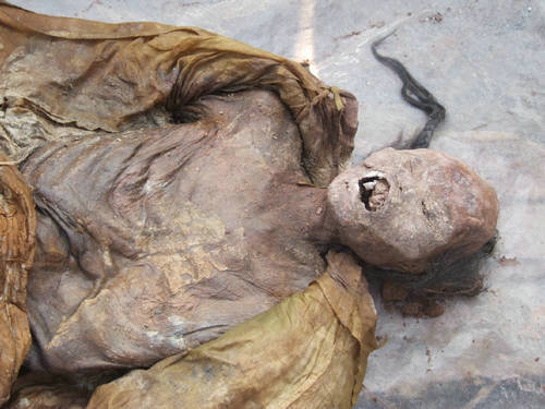 古代尸体为什么不腐烂清朝僵尸文化的由来