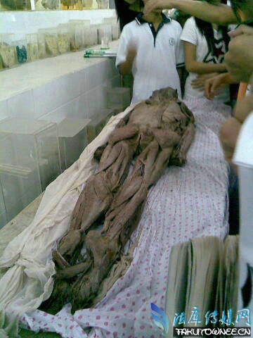 古代尸体为什么不腐烂?清朝僵尸文化的由来