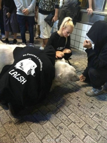ձͷŮҰѣҰ޴С
