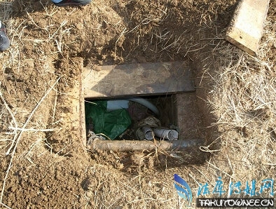 男子盗掘19座古墓,盗墓犯了什么罪?