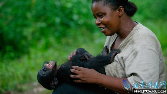母猩猩生殖器真实图片，猩猩和人的详细区别有哪些？
