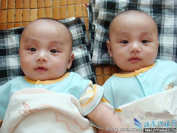 双胞胎姐妹共用一老公，生双胞胎有遗传性吗？