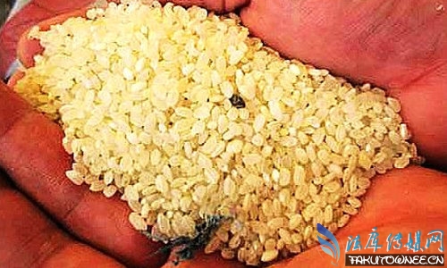 刚发霉的大米可以吃吗?发霉的大米如何处理?