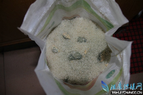 刚发霉的大米可以吃吗?发霉的大米如何处理?
