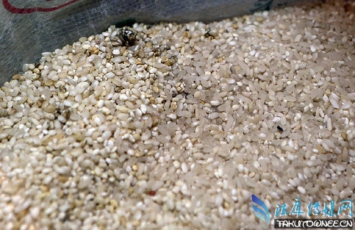 刚发霉的大米可以吃吗?发霉的大米如何处理?
